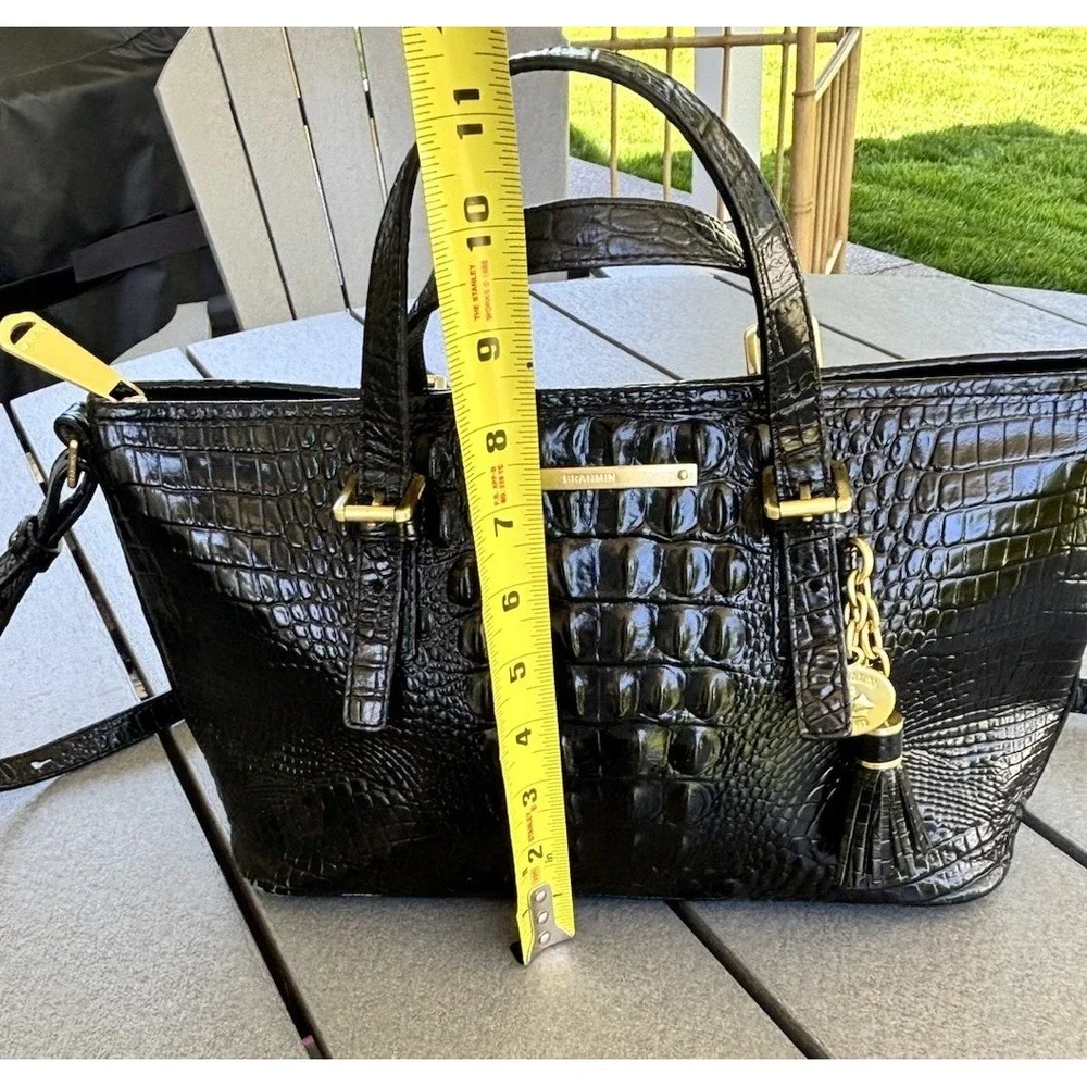Brahmin mini asher